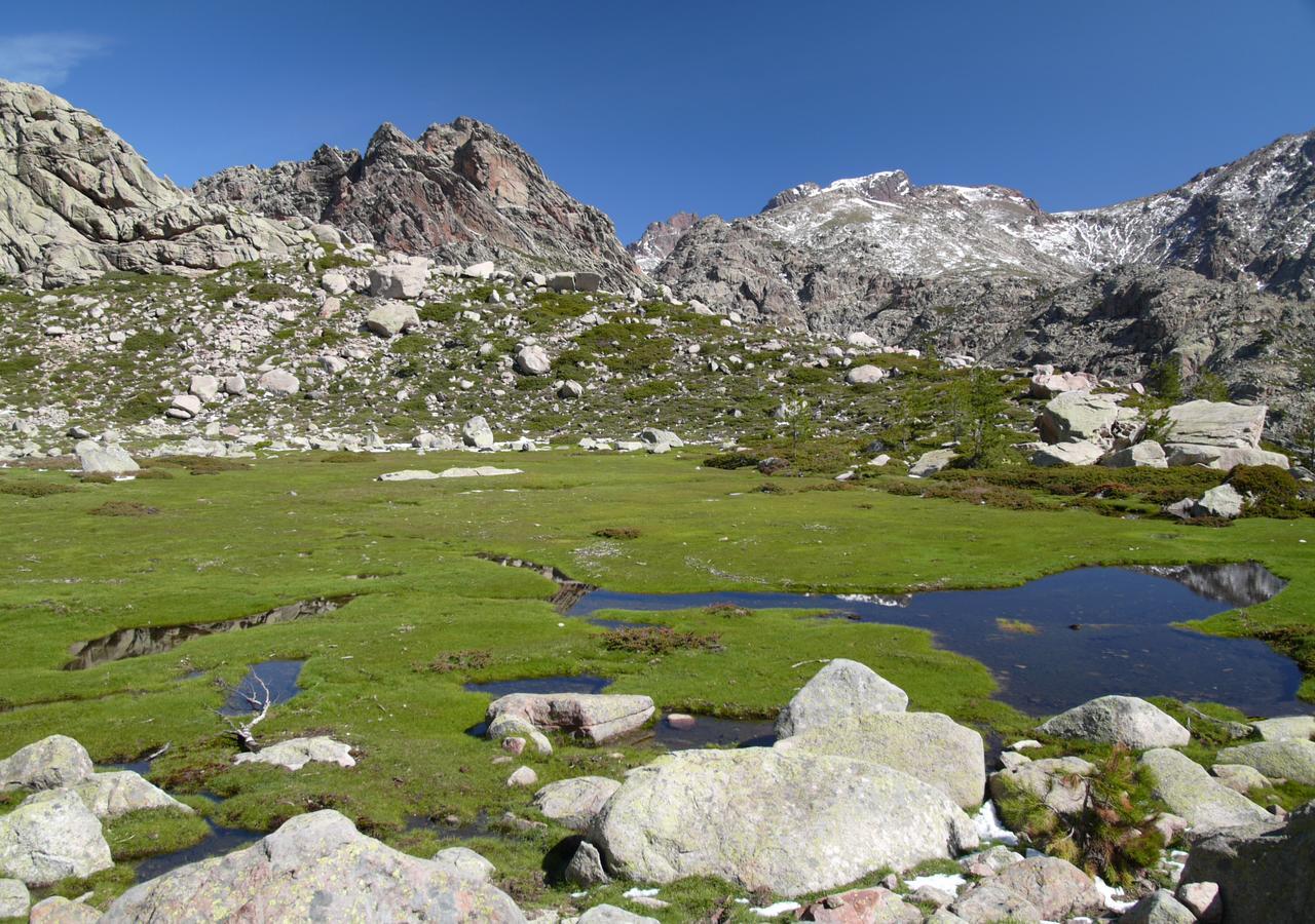 Castel De Vergio Albertacce Bagian luar foto